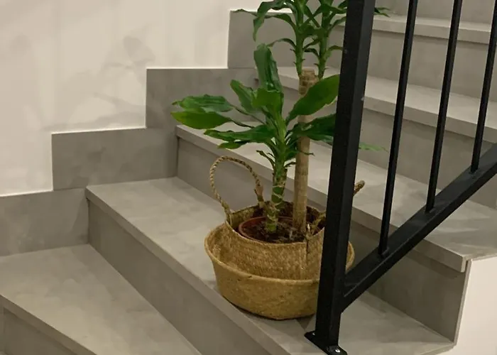 Lux Carrion Carrión de los Condes